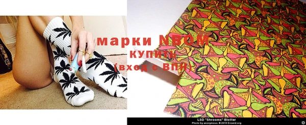гидропоника Алзамай