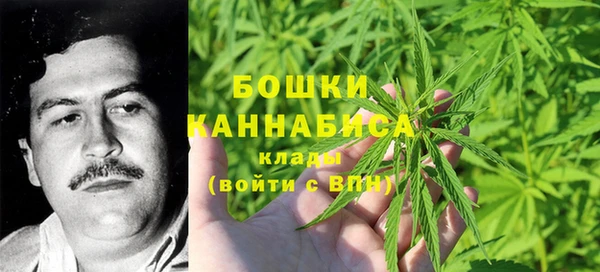 гидропоника Алзамай
