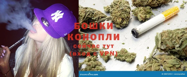 гидропоника Алзамай