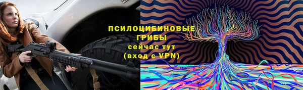 гидропоника Алзамай