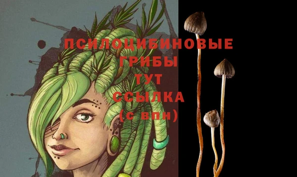ПСИЛОЦИБИНОВЫЕ ГРИБЫ Алексеевка